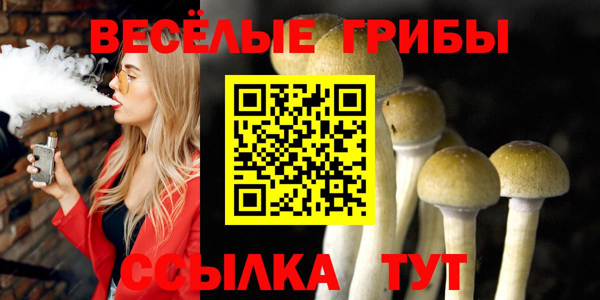 Псилоцибиновые грибы прущие грибы  Вход с VPN  Бердск 