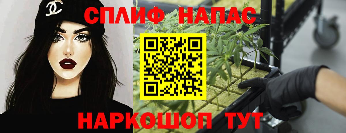Шишки марихуана MAZAR  Вход с VPN  Бердск  МАРИХУАНА Amnesia 